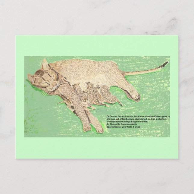 Be Compassionate, Spay And Neuter Postcard (Front)