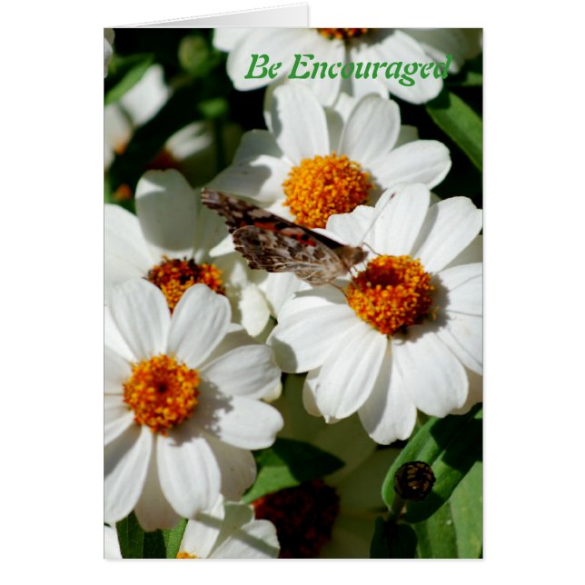 Be encouraged (Front)