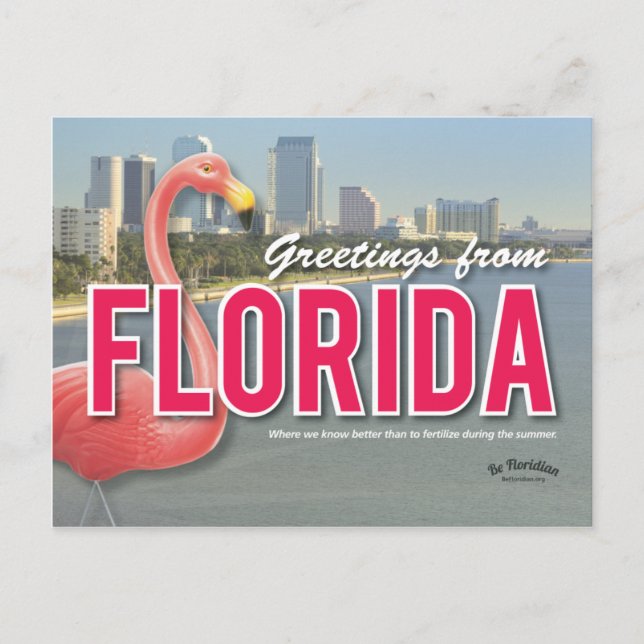 Be Floridian - Florida Carte postale (Devant)