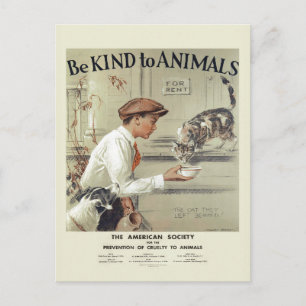 Be Kind to Animals USA vintage postcard #2