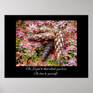 Be Loyal to that which you love Be true yourself Poster