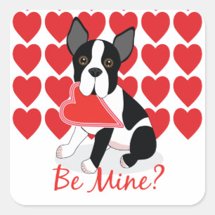 Be Mine? Boston Terrier Valentine's Day Stickers