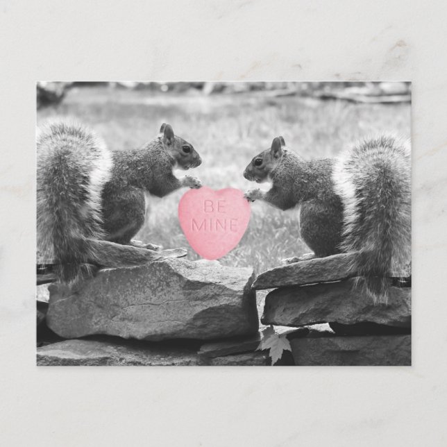 be mine squirrels postcard (Front)