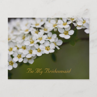 Be My Bridesmaid Postcard Spiraea