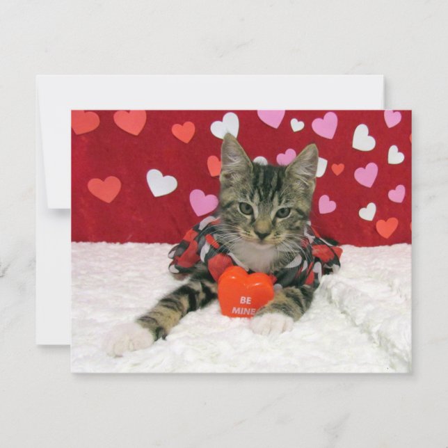 Be My Valentine - Bandit Cat / Kitten - Carte Plat (Devant)
