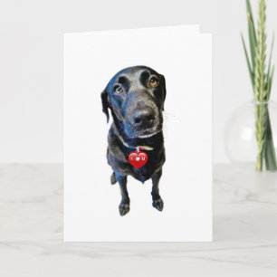 Be My Valentine Holiday Card