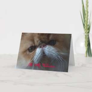Be My Valentine persian cat card