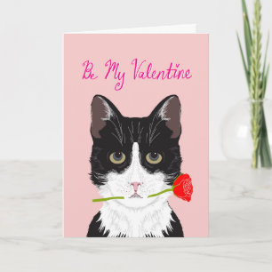 Be My Valentine - Tuxedo chat avec carte rose