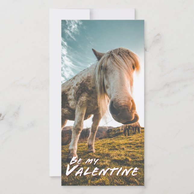 Be my Valentine with looking Horse (Front)
