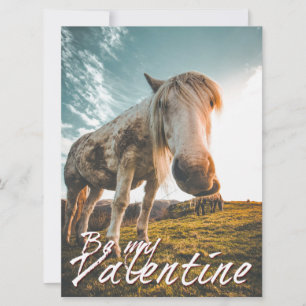 Be my Valentine with looking Horse V2.0
