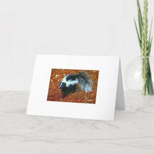 Be nice or I'll stink ya!-greeting card