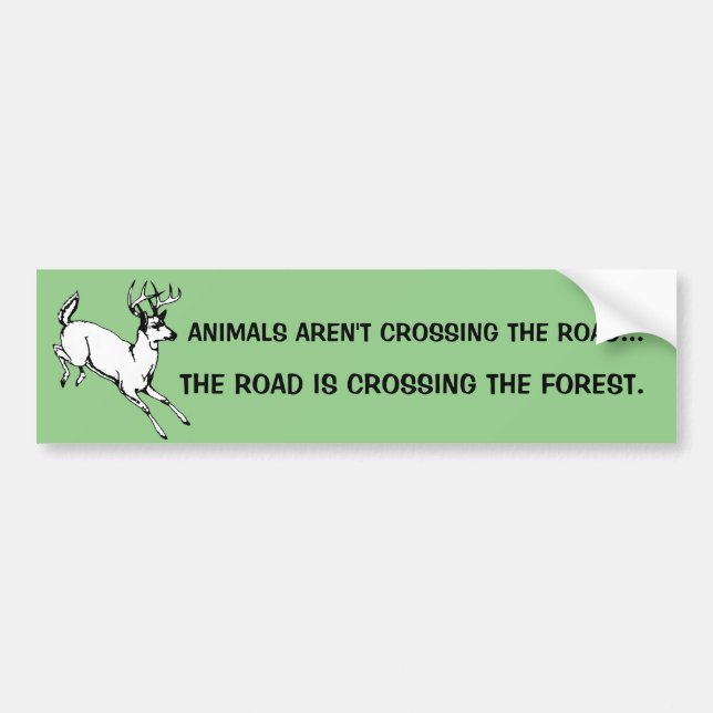 Be Nice to Animals Bumper Sticker (Front)