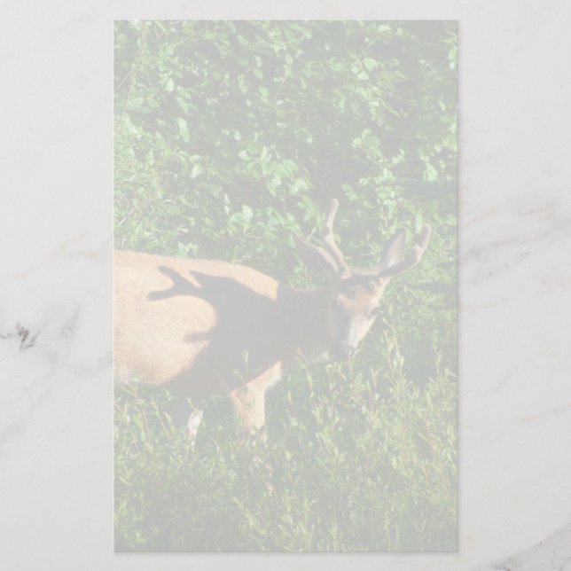 Be on Your Way Stationery (Front)
