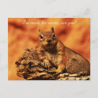 Be Prepared Postcard