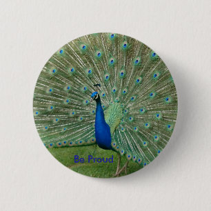 Be Proud Peacock Badge 2 Inch Round Button