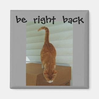 be  right  back magnet, stray1 magnet