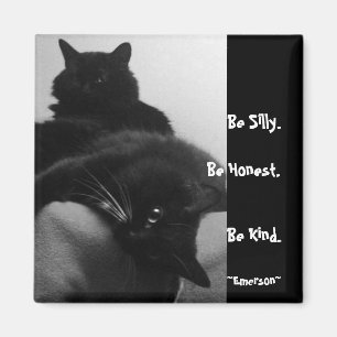 Be Silly Quote Magnet