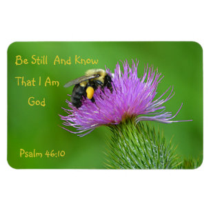 Be Still Bumblebee Magnet