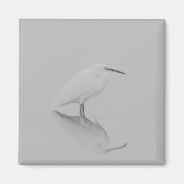 Be still Egret Magnet (Front)