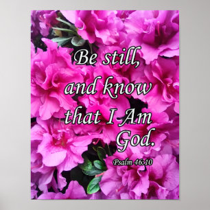 Be Still - Pink Flowers Poster
