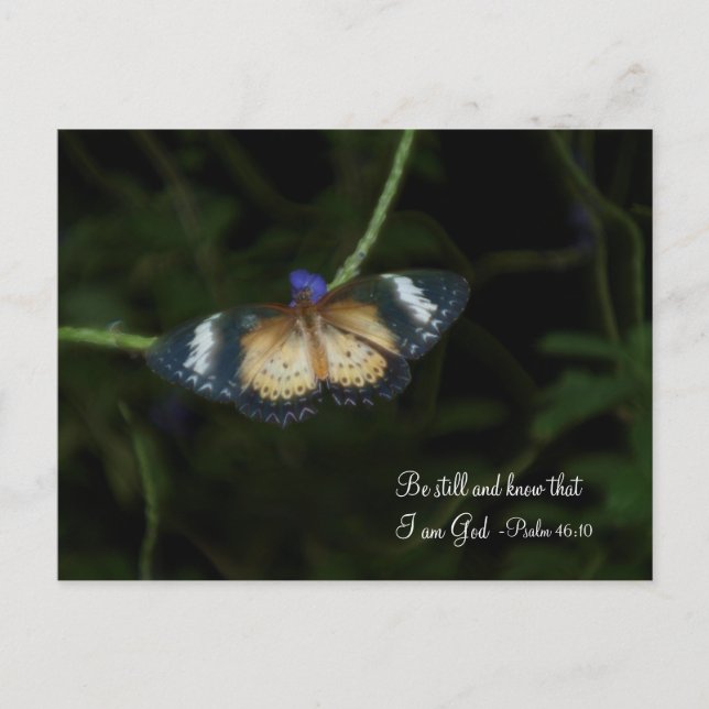 Be Still Postcard (Front)