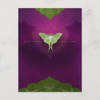 Be Still (Postcard) Postcard