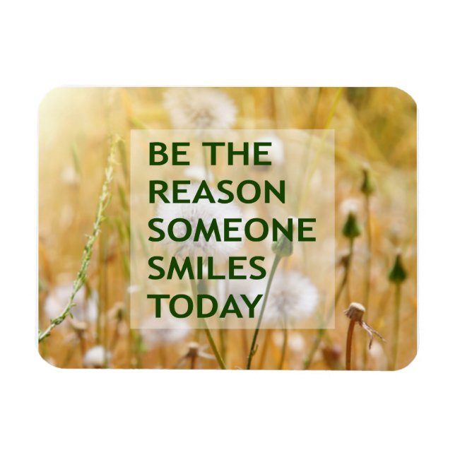 Be the reason someone smiles today magnet (Horizontal)