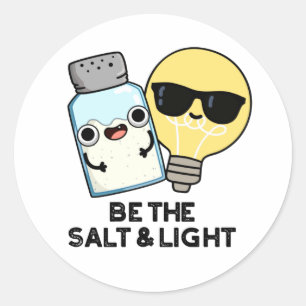 Be The Salt And Light Funny Bible Pun  Classic Round Sticker