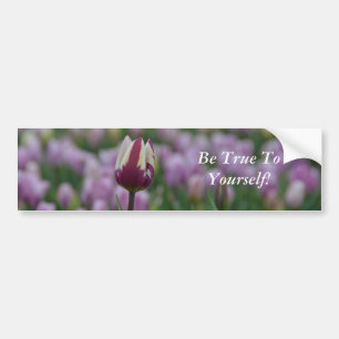 Be True to Yourself Bumper Sticker