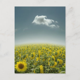 Be Unique Postcard