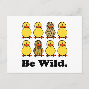 Be Wild Ducks Postcard