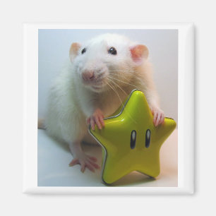 Be Your Own Star Magnet