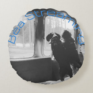 Bea Streaming Bailey Coussin