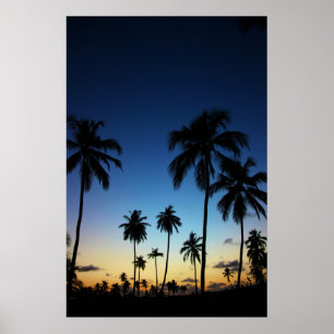 Beach And A Coastal Village Praia Do Forte Poster