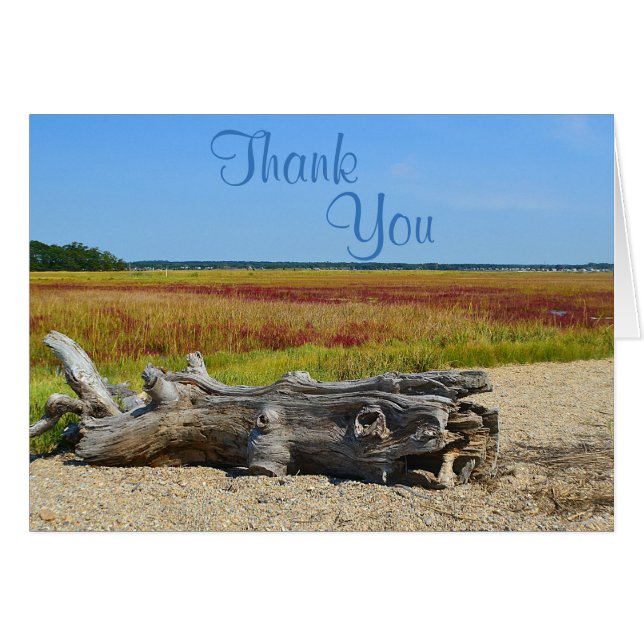 Beach and Driftwood Thank You Card (Front Horizontal)