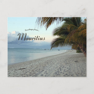 Beach and Palm Trees in Mauritius Postcard