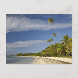 Beach and palm trees, Plantation Island Resort Postcard