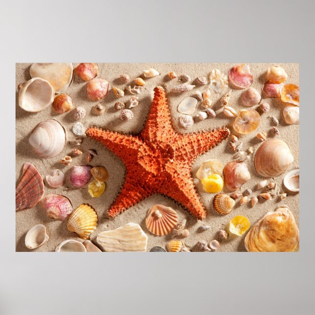 Beach And Sand Starfish Poster (Front)