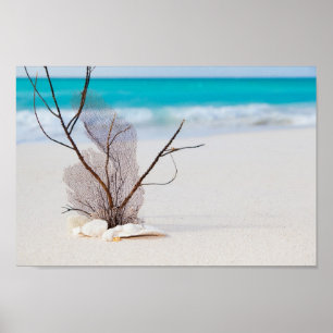beach-and-sea-concept beach beauty blue caribbean poster
