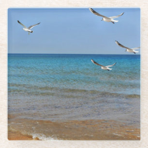 Beach and Seagulls Glass Coaster