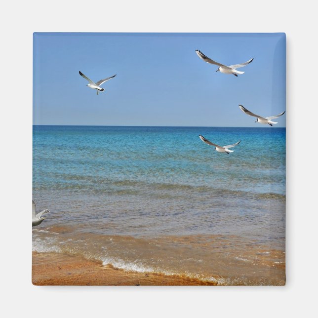 Beach and Seagulls Magnet (Front)