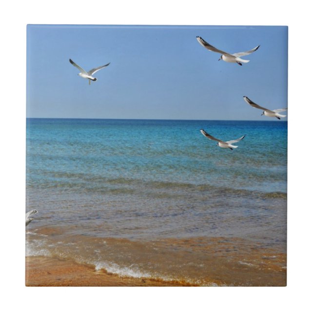Beach and Seagulls Tile (Front)