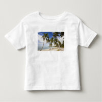 Beach at Punta Cana