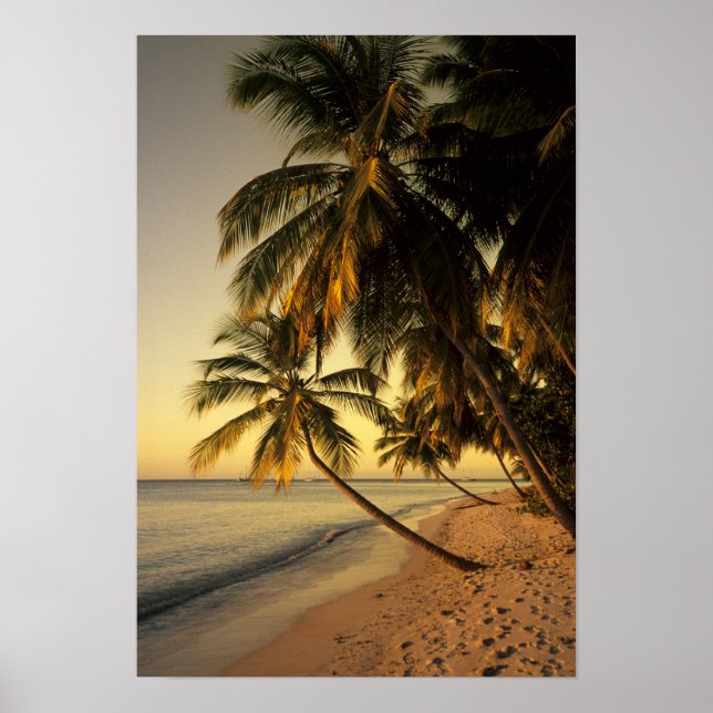 Beach at sunset, Trinidad Poster (Front)