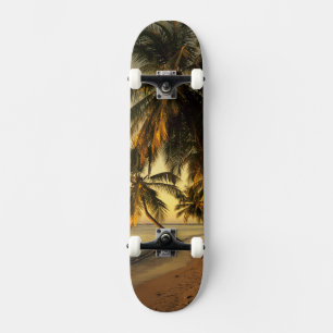 Beach at sunset, Trinidad Skateboard