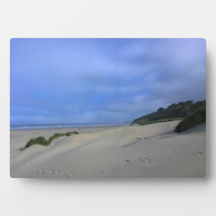 Beach at Yaquina Bay, Newport, OR Plaque