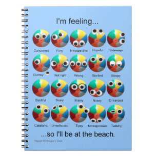 Beach Ball Emotions Notebook