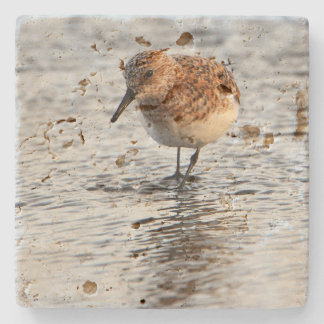Beach Bird Photo Stone Coaster