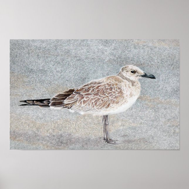 Beach Bird Poster (Front)