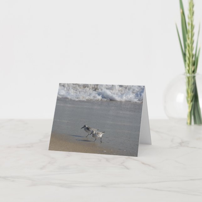 Beach Birds Card (Front)